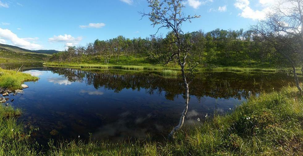 Mikkelvik Brygge Villa Mikkelvika Buitenkant foto